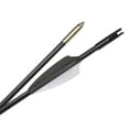 thumbnail image 3 of 12Pcs Fiberglass Arrows 31 Inch Recurve Bow Compound Archery Hunting, 3 of 6