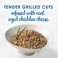 thumbnail image 6 of Fancy Feast Delights With Cheddar Grilled Whitefish & Cheddar Cheese Feast in Gravy Wet Cat Food, 3 OZ (Pack of 12), 6 of 9