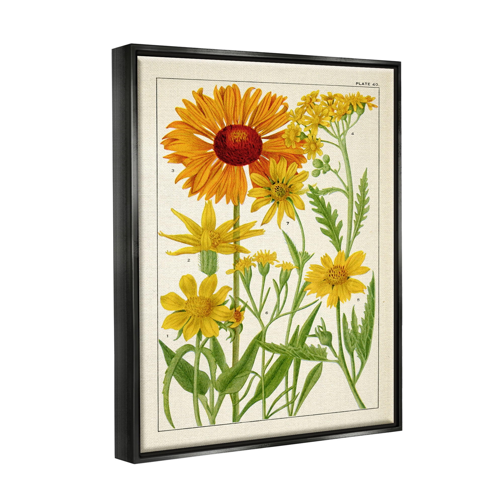 Stupell Industries Yellow Flower Studies Botanical & Floral Painting Black Floater Framed Art Print Wall Art, 17 x 21
