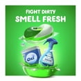 thumbnail image 2 of Gain Flings Laundry Detergent Pacs, Original Scent, 96 Ct, 2 of 9