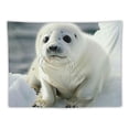 thumbnail image 5 of Orinice Baby Seal Snow Tapestry Wall Hanging Unique Style Graphic Tapestries Home Wall Decor Art for Living Room Bedroom Apartment Farmhouse Dorm Wall Art 40x60inch, 5 of 6