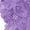 Purple-M, variant on Seamlesses Women Underwear Thongs,Not Show Ladies Thong,Stretch Low Waist G-String Comfortable Panties,Soft Undies Gifts