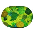 thumbnail image 1 of Vente de Liquidation Tapis de Bain Super Absorbant avec Support en Caoutchouc Sec Antidérapant Lavable Tapis de Sol pour Salle de Bain devant la Baignoire Salle de Douche, 1 of 7