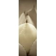 thumbnail image 2 of Blaustein, Alan 9x18 White Modern Wood Framed Museum Art Print Titled - Florison - 67, 2 of 4