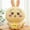C, variant on 30-60cm Kawaii Hachiware Plush Toy Plush Dolls Soft Plush Room Decoration Birthday Women