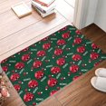 thumbnail image 4 of Rateoe Ladybugs In Love Pattern Flannel Door Mat Indoor Outdoor Entrance, Waterproof All-Weather Doormat,Fade Resistant, Low Profile Entryway Mat 16x24in, 4 of 7