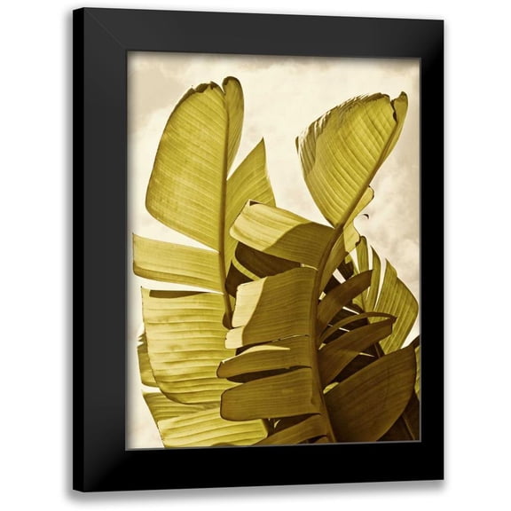 Perry, Rachel 12x14 Black Modern Framed Museum Art Print Titled - Palm Fronds III