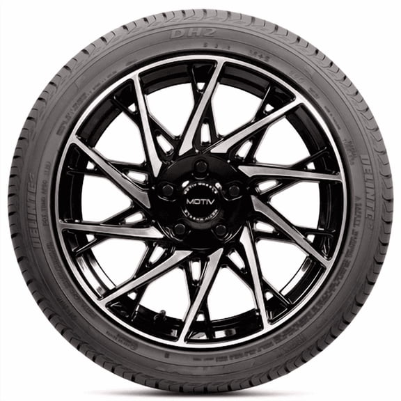 Delinte DH2 205/60R16 92H BSW (2 Tires) Fits: 2015-17 Kia Soul LX, 2020-22 Nissan Sentra S Plus