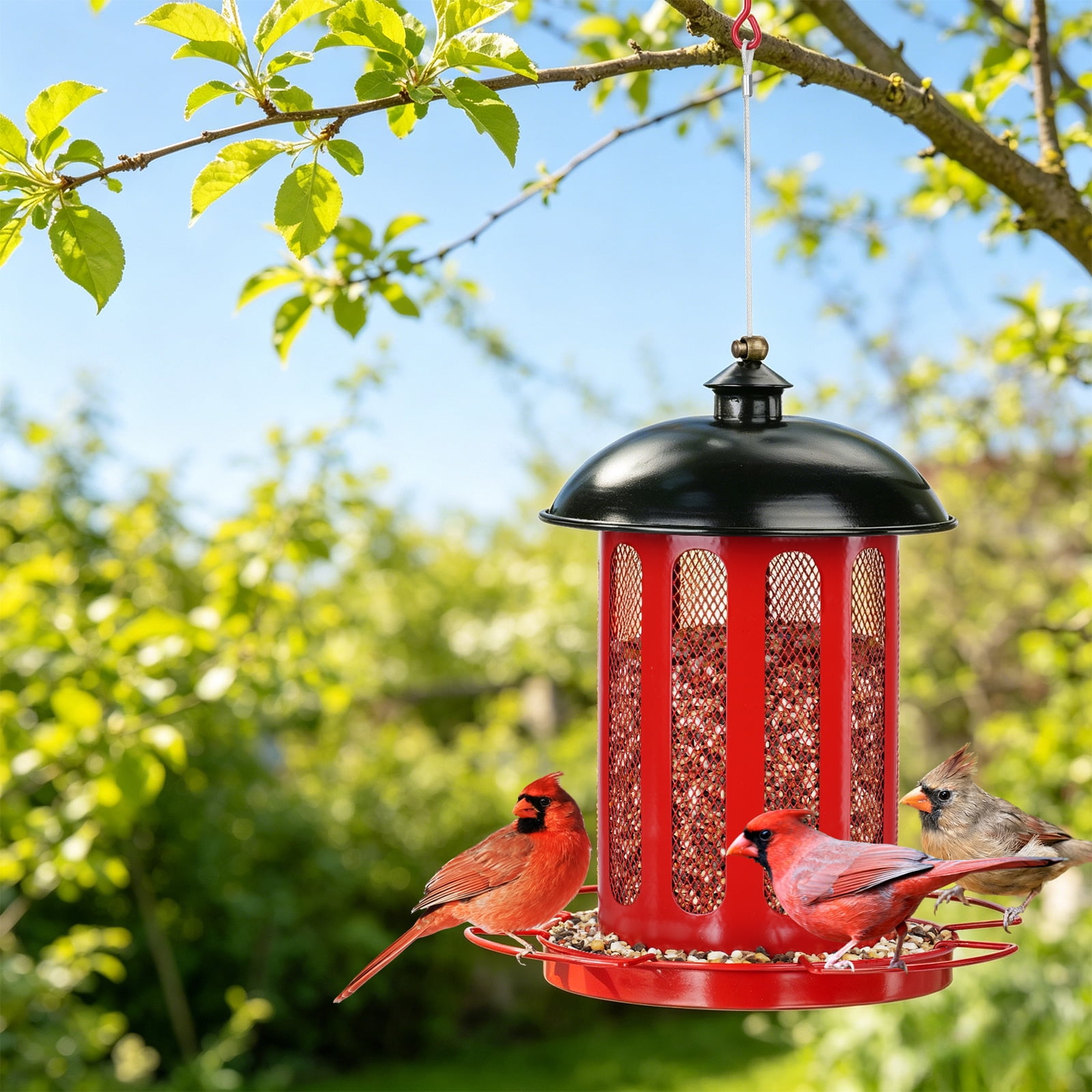 Samhe Wild Bird Feeder, 4 lbs Large Capacity Bird Feeders for Outdoor Hanging, Heavy Duty Metal Birdfeeder, Red