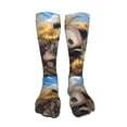 thumbnail image 5 of Pofeuu Clear Sky Cute Sunflower Panda Print Stockings, Adult Running Hiking Socks for Youth and Adult-One Size, 5 of 8