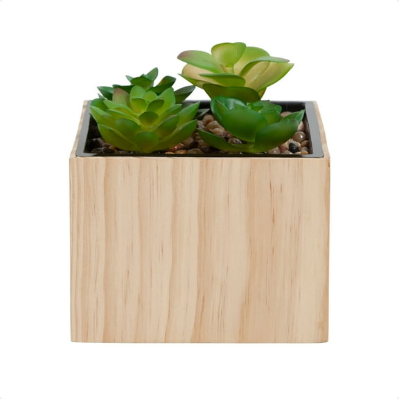 U Brands Planter Diversion Safe, 5.9 x 5.3 x 5.3 in., Hidden Combination Lock Cash Money Box