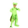 thumbnail image 1 of Praying Mantis Costume pour Enfant, 1 of 2