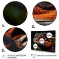 thumbnail image 3 of Designart "Amphibian Portrait Orange Reptile wall art" Animals Floater Framed Wall Art Print, 3 of 7