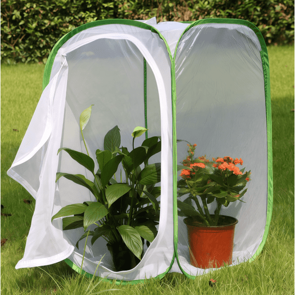 Insect and Butterfly Habitat Cage Terrarium Pop-up, 15.7 x 15.7 x 23.6 inch