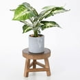 thumbnail image 1 of Taburete de madera mini reforzado versátil para jardines y salas de estar, diseño elegante y funcional, soporte de madera maciza de alta calidad para uso en interiores y exteriores (soporte, 1 of 5
