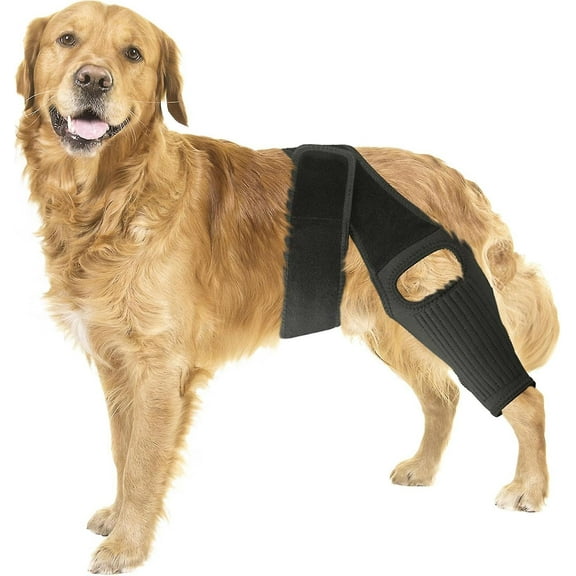 Dog Knee Brace, Dog Leg Brace Hip Support Brace, Dog Knee Support Brace Rear Leg Stabilizer for Torn ACL Hind Leg Better Recovery