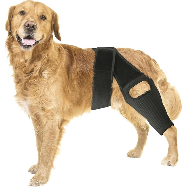 Rodillera para perro, soporte para pierna de perro, soporte para cadera, soporte para rodilla para perro, estabilizador de pierna trasera para pierna trasera desgarrada, mejor recuperación