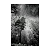 Trademark Fine Art 'Cold Vision' Canvas Art by Philippe Sainte-Laudy