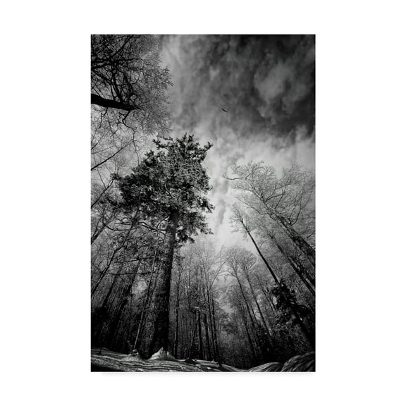 Trademark Fine Art 'Cold Vision' Canvas Art by Philippe Sainte-Laudy