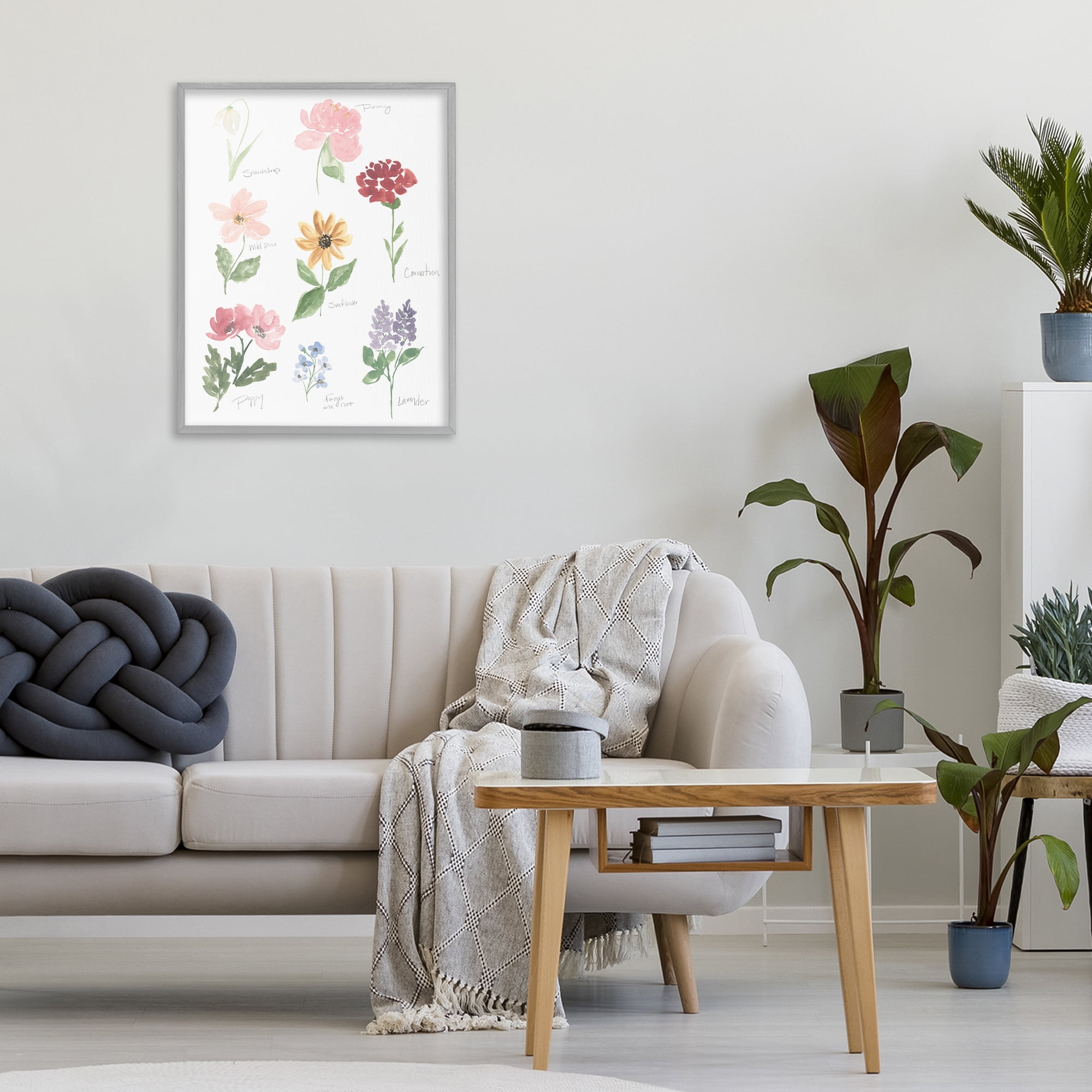 Stupell Industries Labeled Flower Varieties Gray Framed Giclee Art, design by Lucille Price