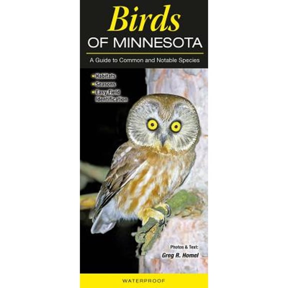 Pre-Owned Birds of Minnesota (Paperback) by Quick Reference Publishing (Prepared for publication by)