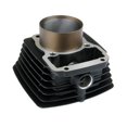 thumbnail image 1 of Cilindro De Motor Para Ft200 Ts 2019 De 2021 Italika Original, 1 of 3