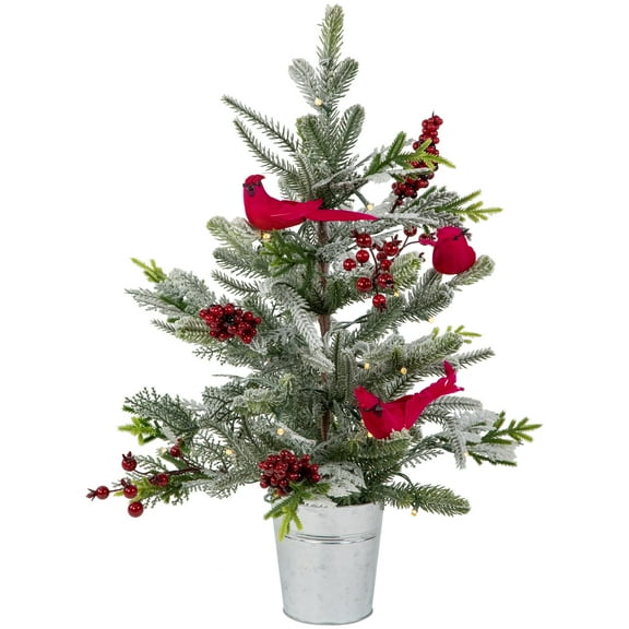 Northlight Pre-Lit LED Frosted Mixed Pine with Cardinals Potted Christmas Tree - 2' - Warm White