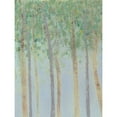 thumbnail image 3 of Popp, Grace 19x24 Black Modern Framed Museum Art Print Titled - Hazy Woodlands I, 3 of 5