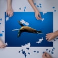 thumbnail image 3 of Seal Swimming (1000 Piece Puzzle, Size 19x27, Challenging Jigsaw Puzzle for Adults and Family, Made in USA), 3 of 4