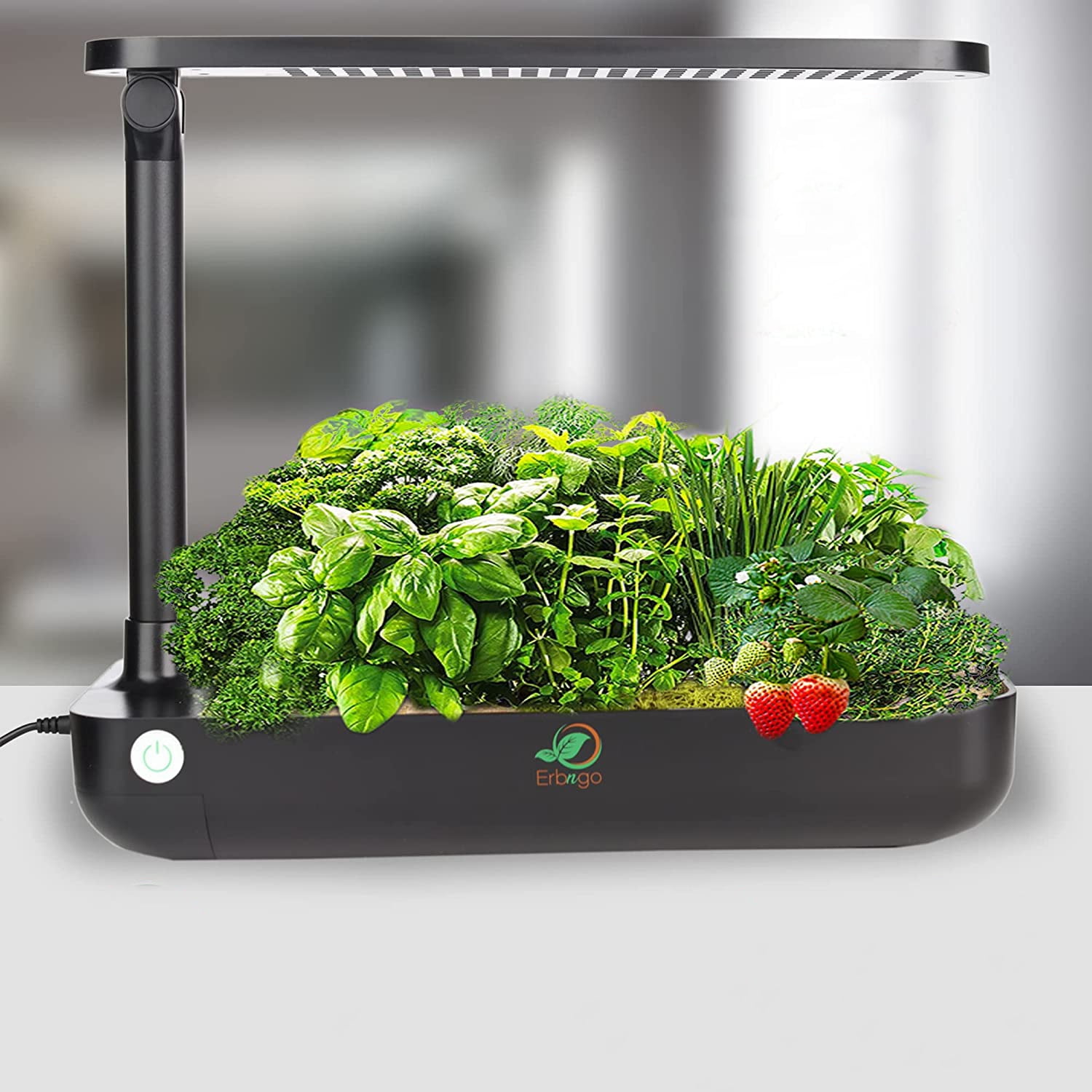 Erbngo Indoor Plant Growing System Hydroponic Fresh Herb Garden Kit