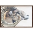 thumbnail image 2 of Marmont Hill "Ram Profile 4" Framed Painting Print, 2 of 5