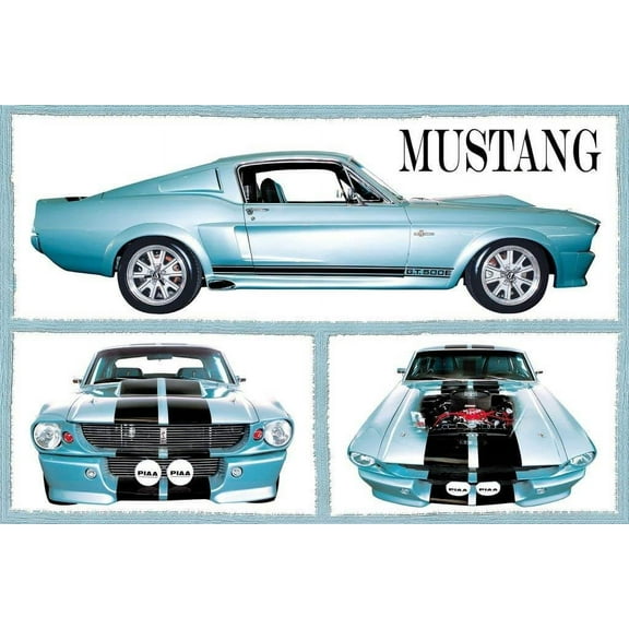Poster - Studio B - 36x24 Fabulous Mustangs Wall Art CJ1525