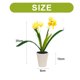 thumbnail image 2 of Narciso de dos cabezas, bonsái pequeño, adornos creativos, decoraciones de flores de simulación, macetas de plantas verdes de flores artificiales, 2 of 5
