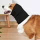 thumbnail image 3 of Talla M Primavera Otoño E Invierno Cuidado De Mascotas Orejeras Orejeras Cálidas Y Con Reducción De Ruido Bufandas Elásticas Para Perros Artículos Para Mascotas, 3 of 4