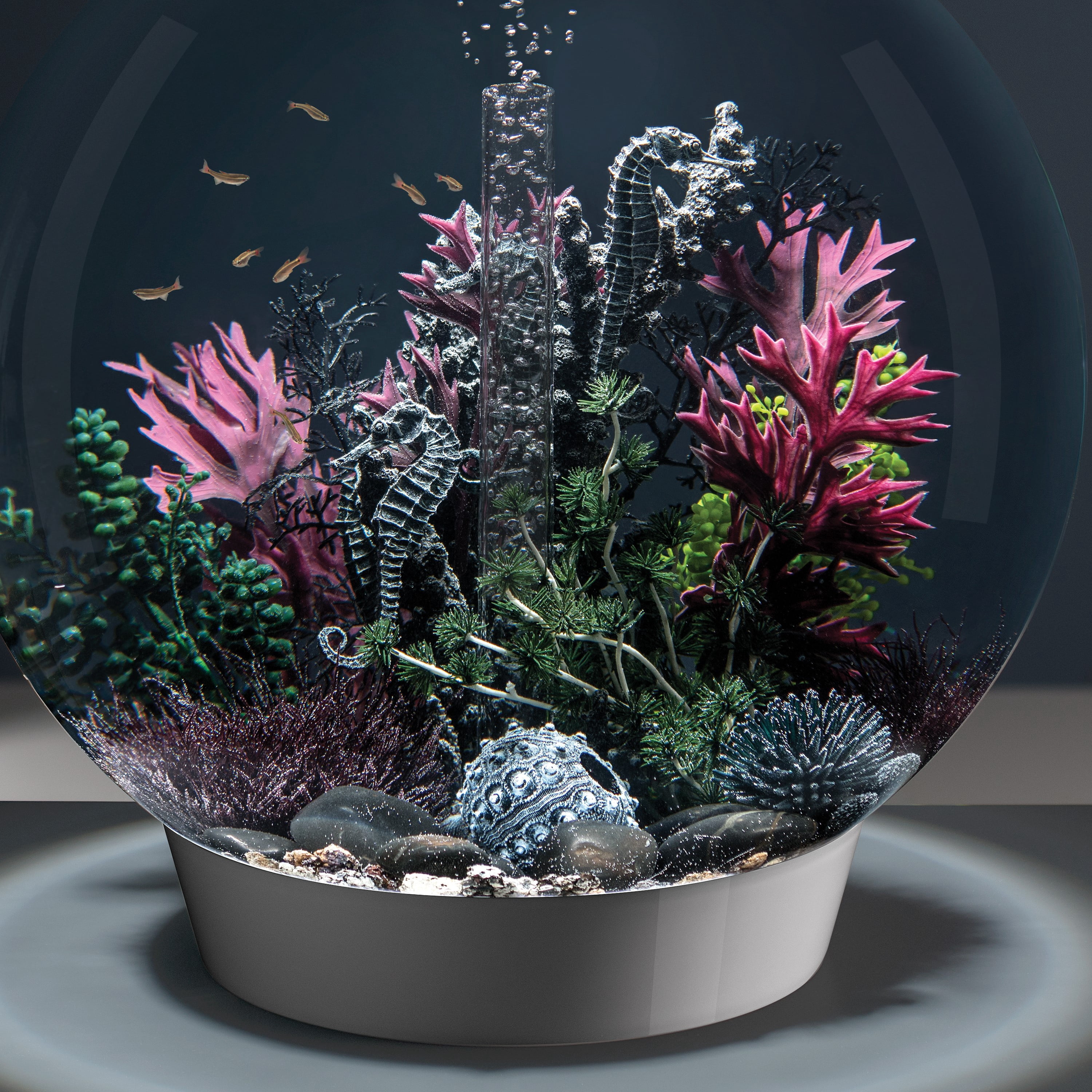 biOrb Black Bonsai Ball - Walmart.com