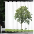 thumbnail image 4 of Ambesonne Green Shower Curtain, Solitude Bench Nobody, 69"Wx84"L, Green White, 4 of 5