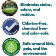 thumbnail image 2 of NOYATECH Pet Stain & Odor Remover – Enzyme-Activated Cleaner for Dog & Cat Urine, 32 oz | Safe for Carpets, Floors & Furniture | Non-Toxic & Pet-Friendly, 2 of 8