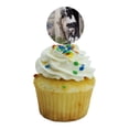 thumbnail image 5 of Border Collies Window Dogs Cupcake Picks Toppers Decoration Set of 6, 5 of 7
