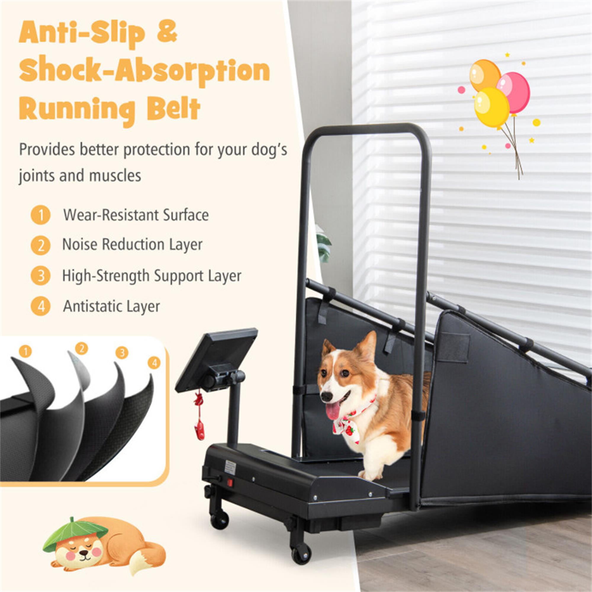 Kadyn 47" Dog Treadmill for Small and Medium Dogs, Pet Training Treadmill for Dogs up to 130 lbs, Dog Pacer Treadmill Indoor Dog Running Machine, Black