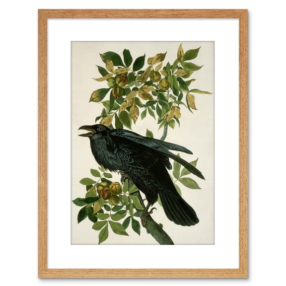 Painting Nature Animal Bird Audubon Raven Artwork Framed Wall Art Print 9X7 Inch