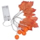 thumbnail image 5 of Luz de otoño ANGGREK IB3119, 5 of 8