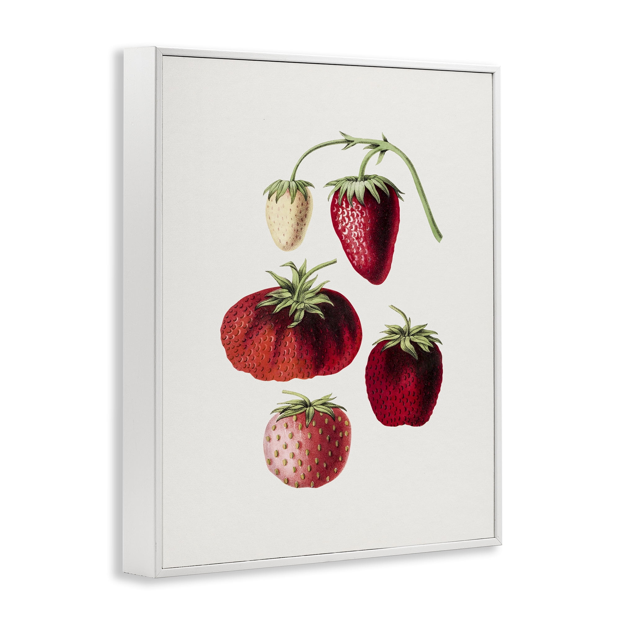 Stupell Industries Natural Berries Study Food & Beverage Painting White Framed Art Print Wall Art, 11 x 14
