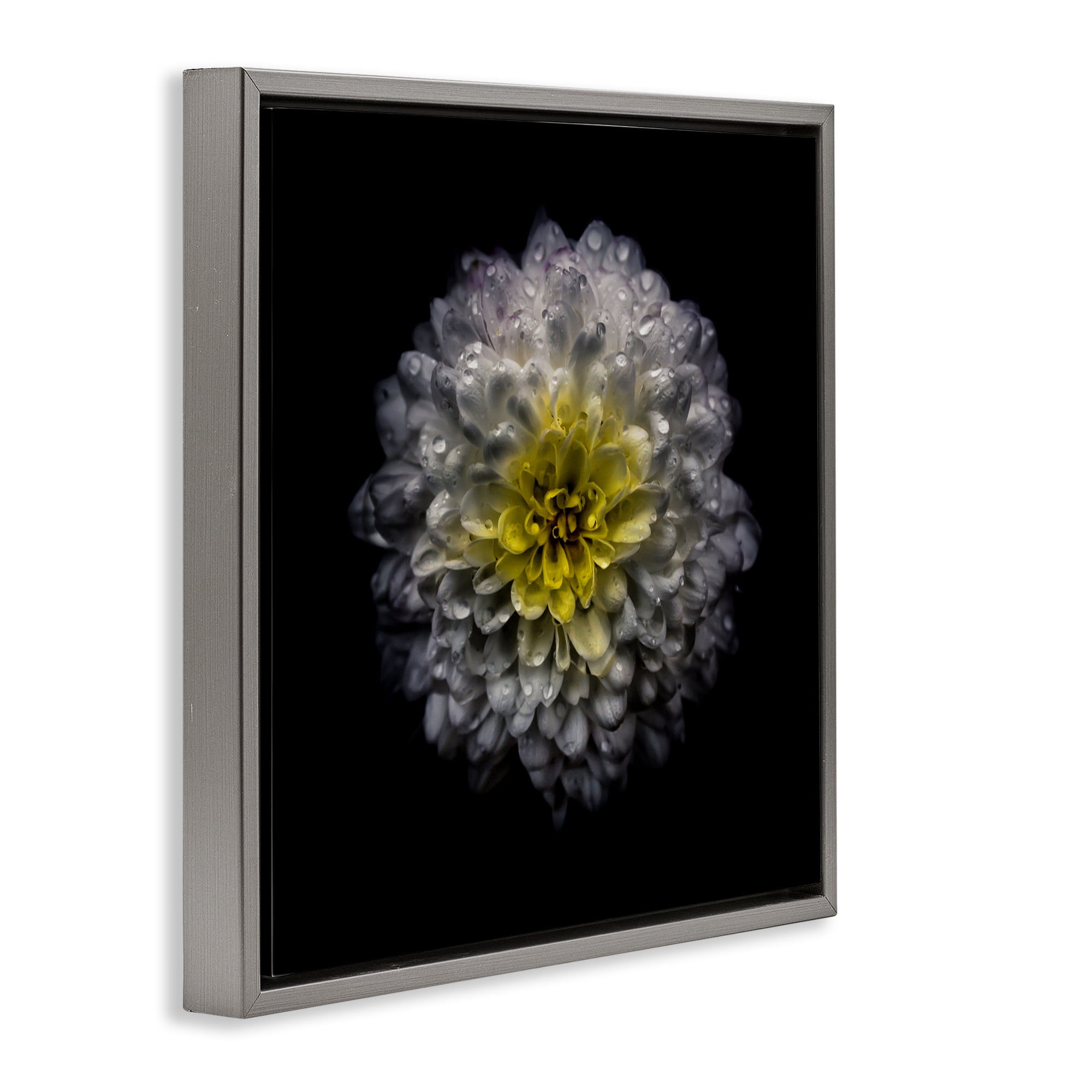 White And Yellow Mum Gray Framed Floater Canvas Wall Art, design by Brian Carson Photography