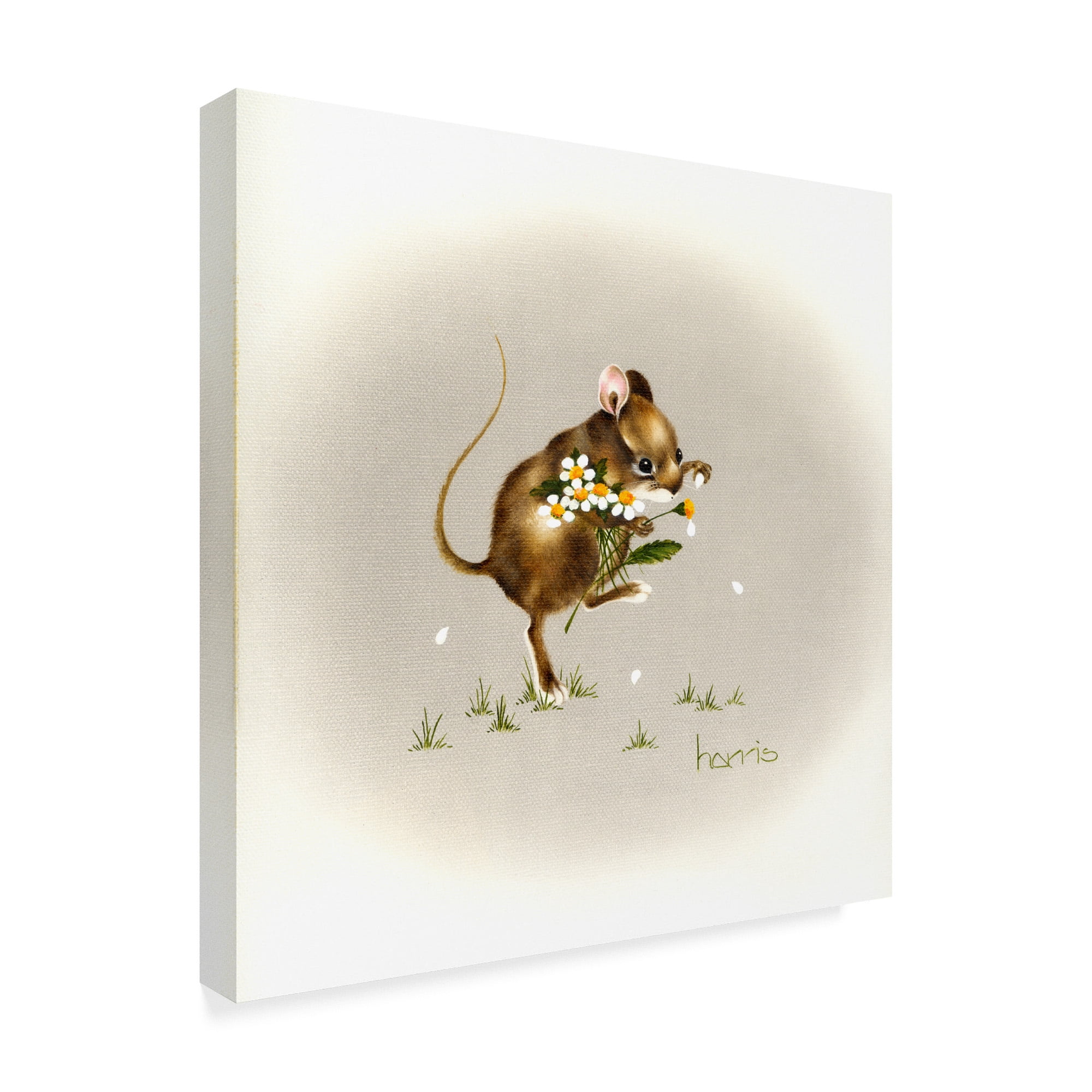 Trademark Fine Art 'He Loves Me Mouse' Canvas Art by Peggy Harris