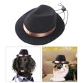 thumbnail image 3 of Mascota Sombrero de Vaquero Disfraz Perro Gato Ropa Sombreros para Mascota Sombrero de Vaquero Disfraz Perro Gato Ropa Sombreros Yuyangstore none, 3 of 8