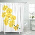 thumbnail image 1 of ABPHQTO Arte amarillo orquídea flor celebración arco fondo hermosa flor cortina de ducha 150x180 cm, 1 of 1