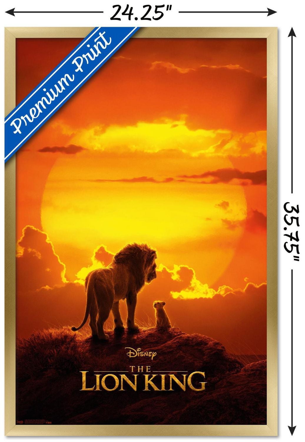 Disney The Lion King - Mufasa And Simba Wall Poster