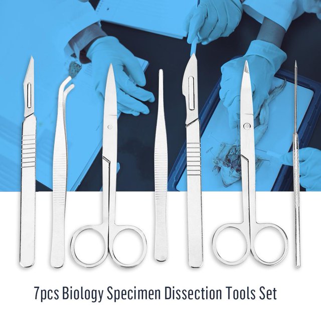 Rdeghly Kit de Dissection, Outil de Dissection en Acier Inoxydable, Ensemble de 7 Pcs Kit de Dissection en Acier Inoxydable Outils de Laboratoire pour Étudiants en Biologie