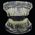 thumbnail image 5 of Fang Grillz Four 4 Open Face Teeth Silver Tone Upper Top Fangs Vampire Hip Hop Grills, 5 of 5