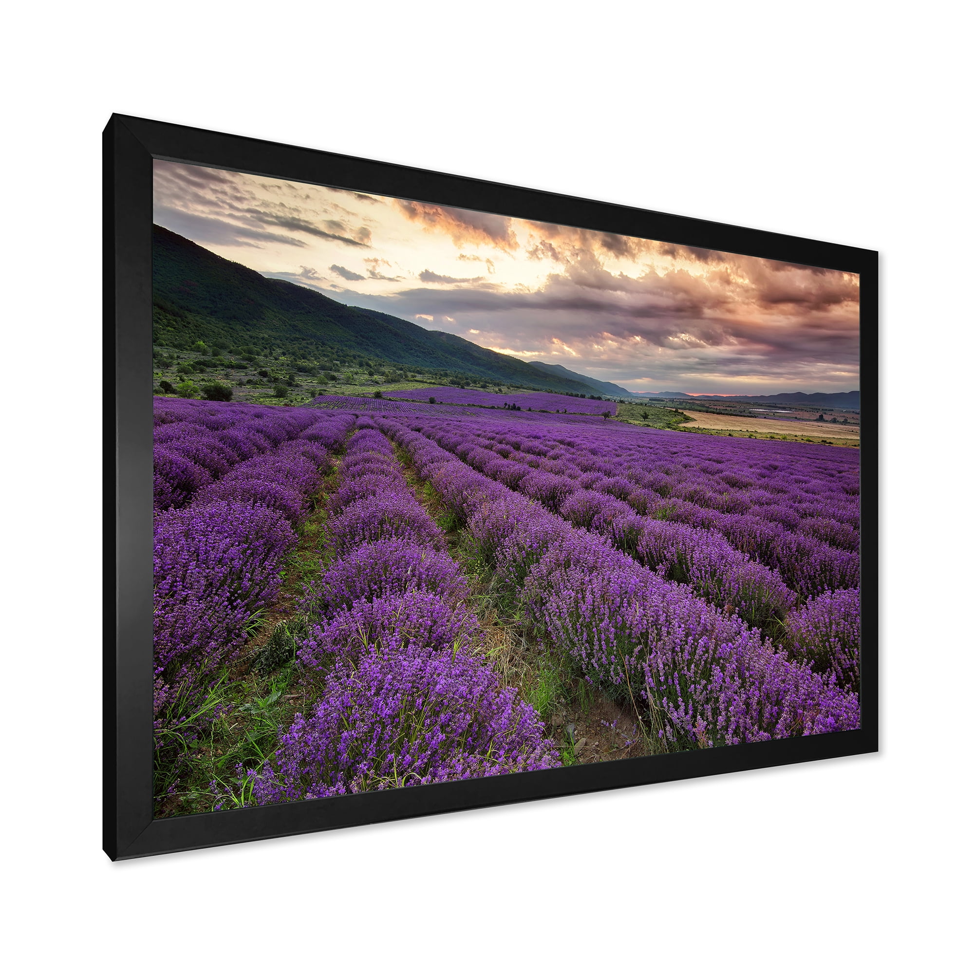 Designart 'Lavender Field At Sunrise I' Farmhouse Framed Art Print